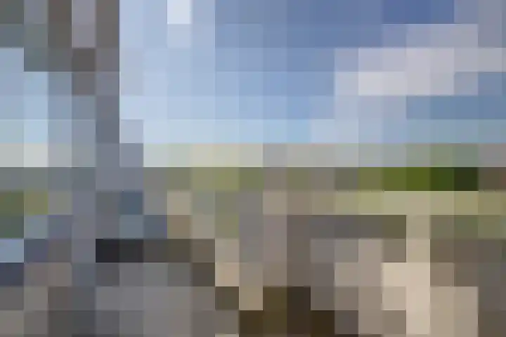 Voermanweg 652 Rotterdam thumbnail 12