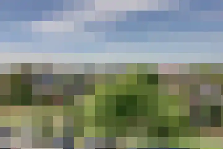 Voermanweg 652 Rotterdam thumbnail 4