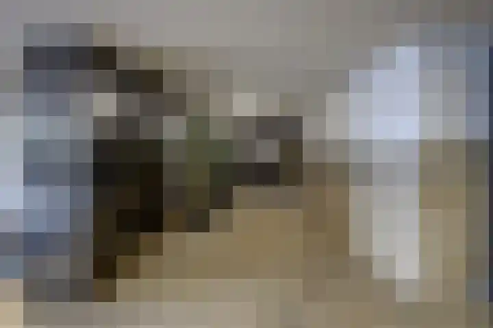 Voermanweg 652 Rotterdam thumbnail 8