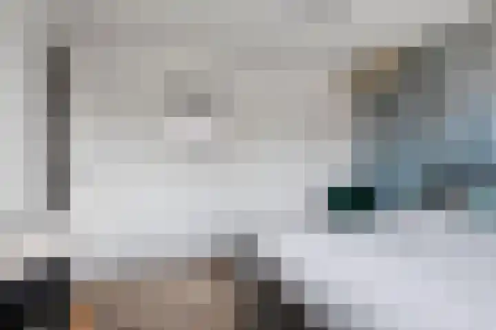Voermanwei 16 Valkenswaard thumbnail 18