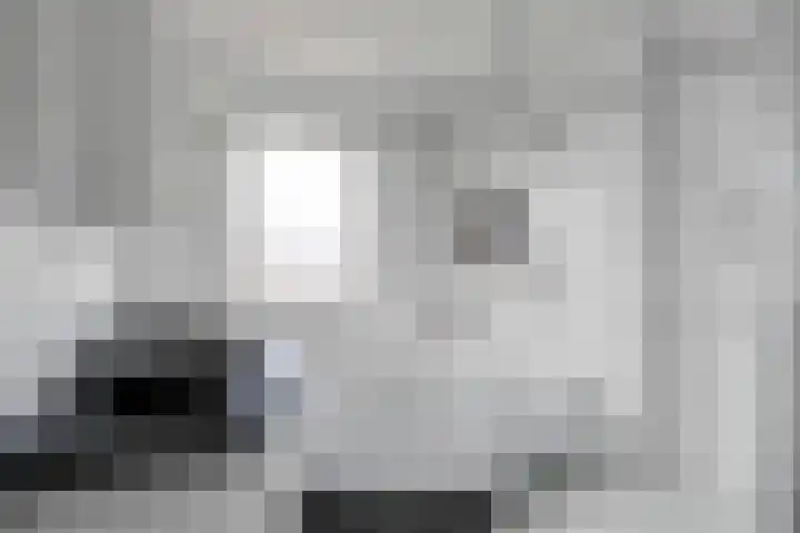 Voermanwei 16 Valkenswaard thumbnail 19