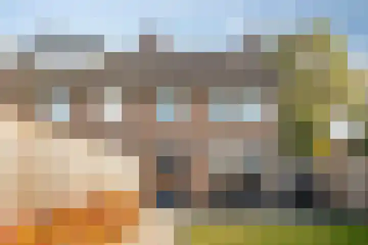 Voermanwei 16 Valkenswaard thumbnail 29