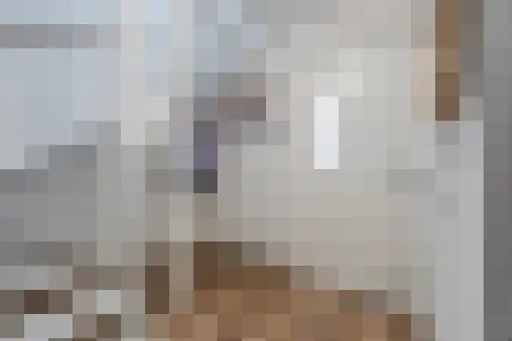 Voetboog 18 Best thumbnail 11