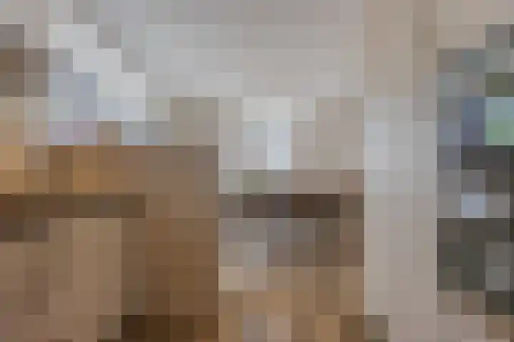 Voetboog 18 Best thumbnail 16