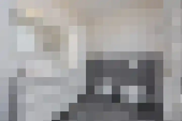 Voetboog 18 Best thumbnail 27