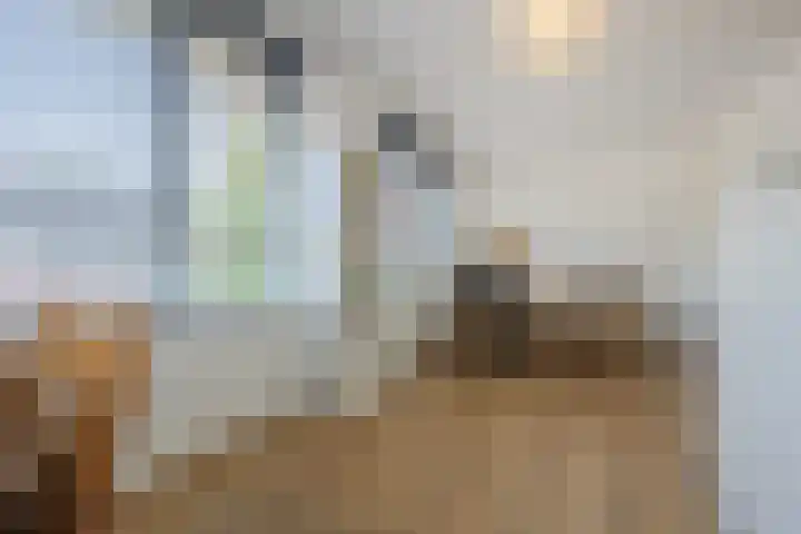 Voetboog 18 Best thumbnail 33