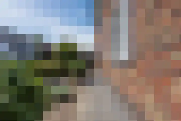 Voetboog 18 Best thumbnail 51