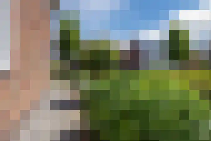 Voetboog 18 Best thumbnail 52