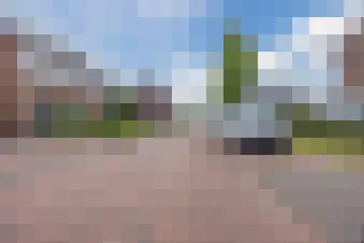 Voetboog 18 Best thumbnail 56