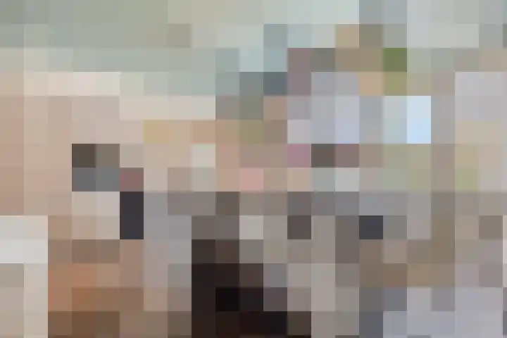 Vogelenveld 62 De Zilk thumbnail 18
