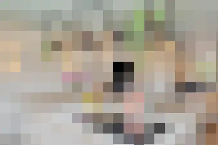 Vogelenveld 62 De Zilk thumbnail 20