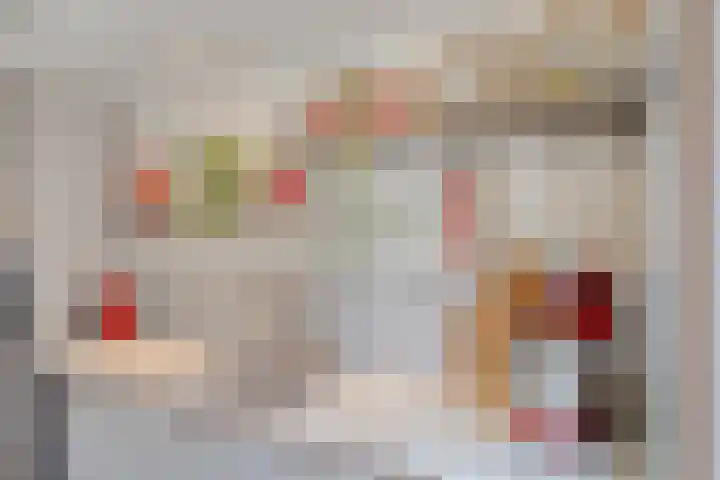 Vogelenveld 62 De Zilk thumbnail 21