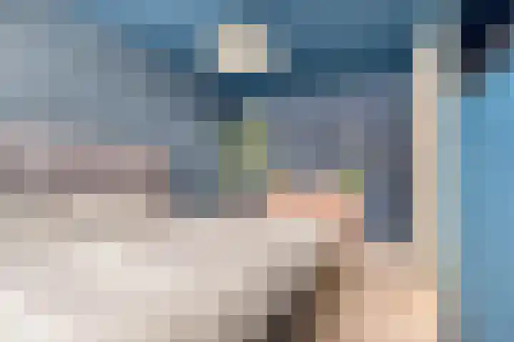 Vogelenveld 62 De Zilk thumbnail 26