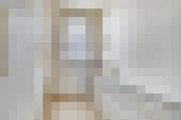 Vogelenveld 62 De Zilk thumbnail 28
