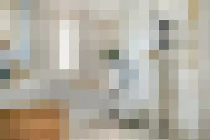 Vogelenveld 62 De Zilk thumbnail 29