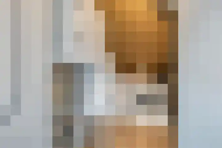 Vogelenveld 62 De Zilk thumbnail 36