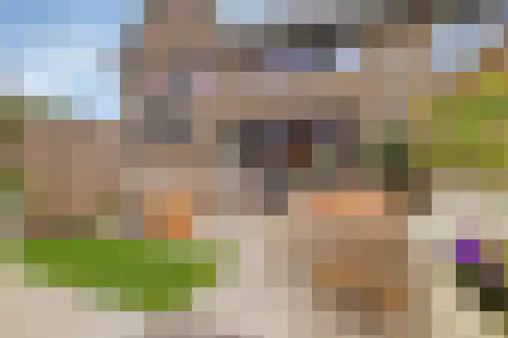 Vogelenveld 62 De Zilk thumbnail 39