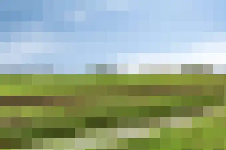 Vogelenveld 62 De Zilk thumbnail 42