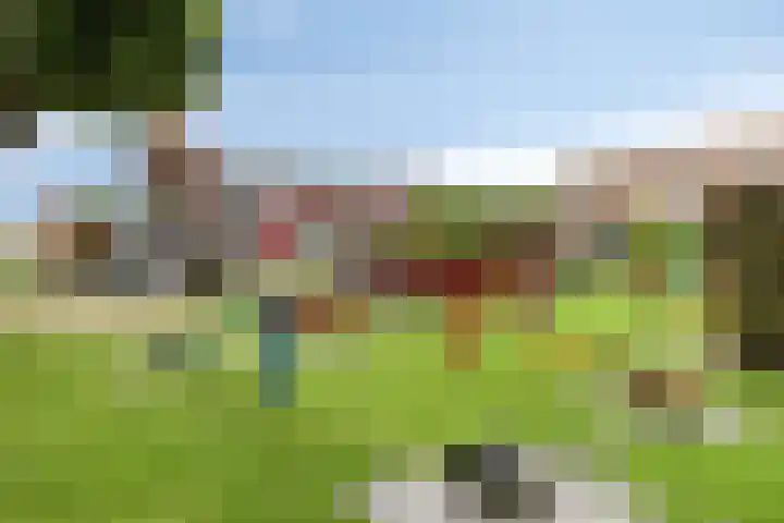 Vogelenveld 62 De Zilk thumbnail 43