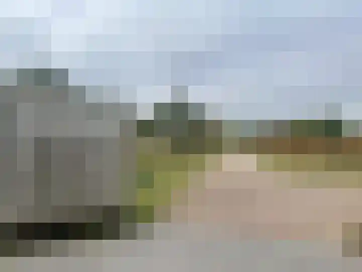 Vogelenveld 62 De Zilk thumbnail 44