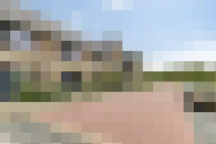 Vogelenveld 62 De Zilk thumbnail 5