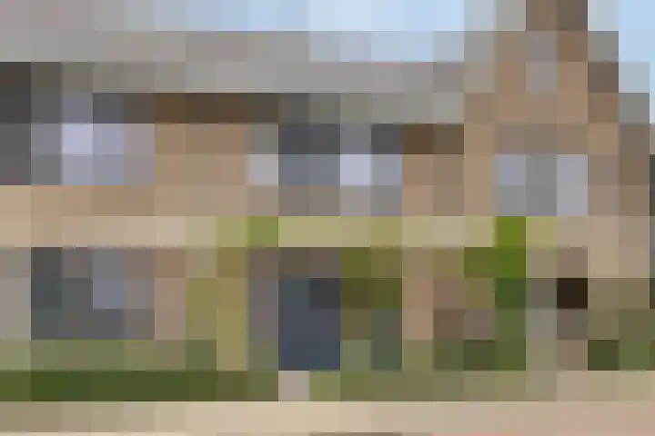 Vogelenveld 62 De Zilk thumbnail 6