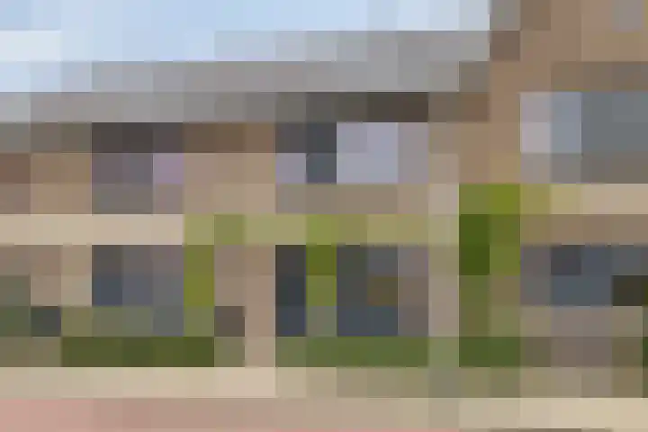 Vogelenveld 62 De Zilk thumbnail 7
