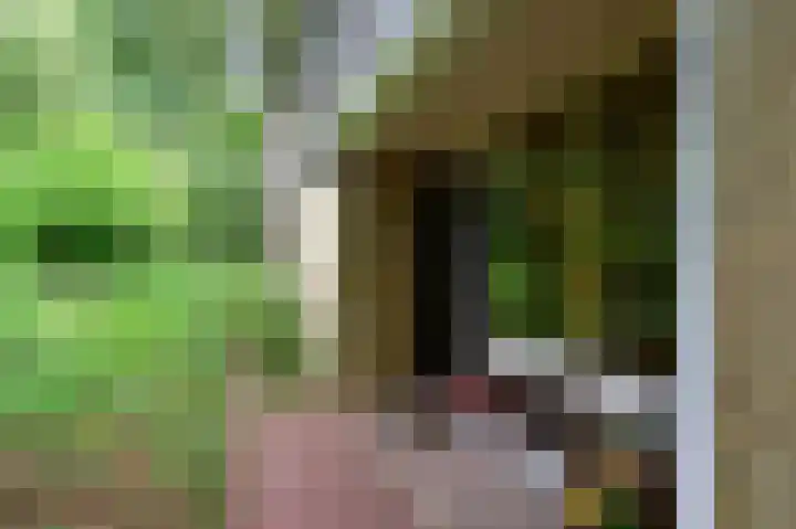 Vogelenzang 10 Malden thumbnail 22
