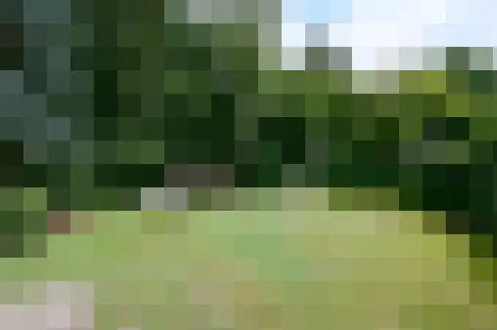 Vogelenzang 10 Malden thumbnail 24