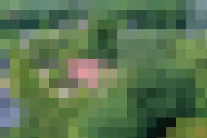 Vogelenzang 10 Malden thumbnail 27