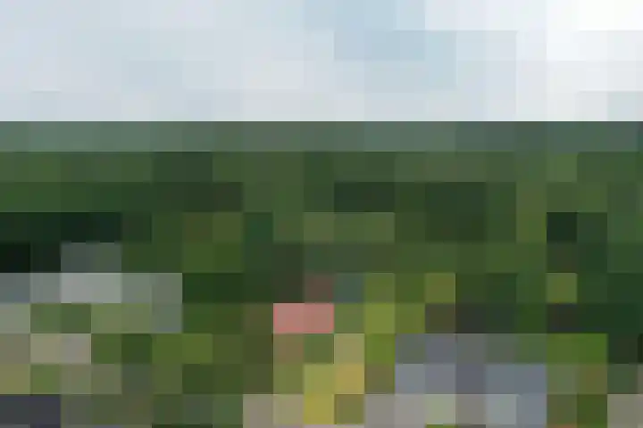 Vogelenzang 10 Malden thumbnail 28