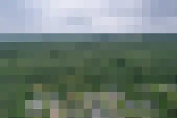 Vogelenzang 10 Malden thumbnail 31