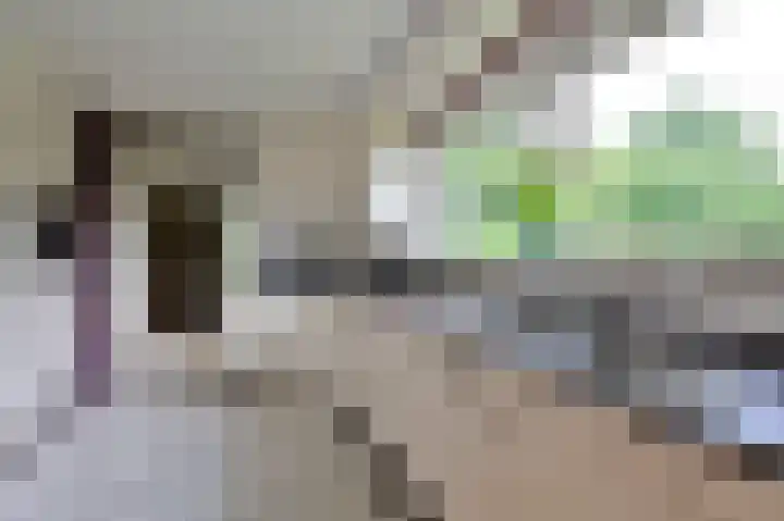 Vogelenzang 10 Malden thumbnail 7