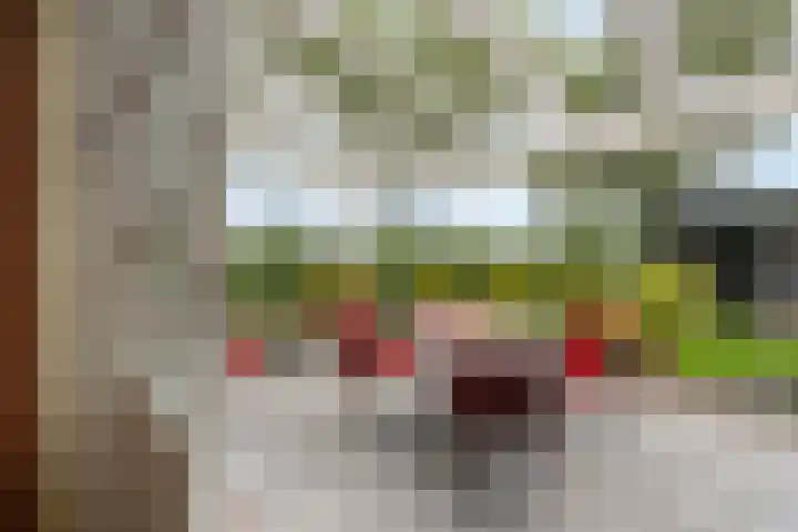 Vogelenzang 3 d Haaren thumbnail 24