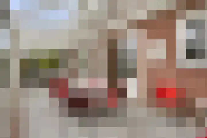 Vogelenzang 3 d Haaren thumbnail 26