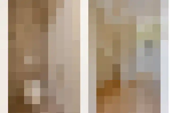 Vogelenzang 3 d Haaren thumbnail 27