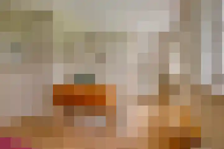 Vogelenzang 3 d Haaren thumbnail 29