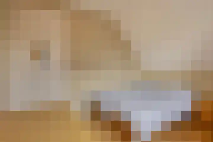 Vogelenzang 3 d Haaren thumbnail 36