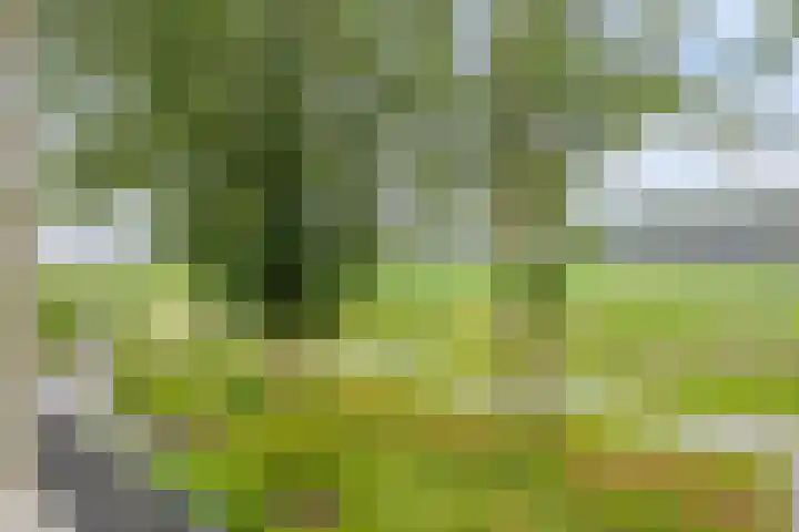 Vogelenzang 3 d Haaren thumbnail 43