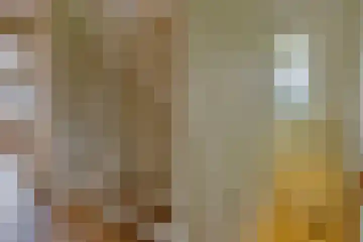 Vogelenzang 3 d Haaren thumbnail 44