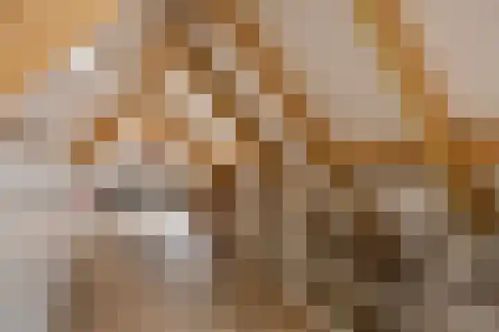 Vogelenzang 3 d Haaren thumbnail 45