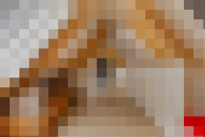 Vogelenzang 3 d Haaren thumbnail 46