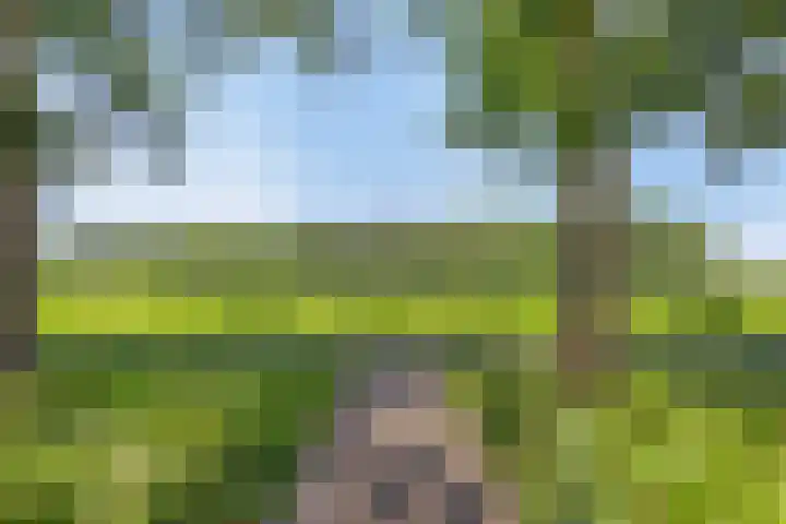 Vogelenzang 3 d Haaren thumbnail 5