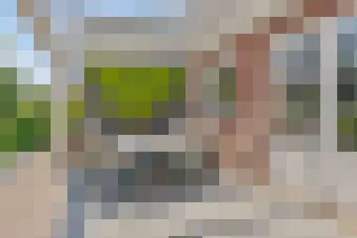 Vogelenzang 3 d Haaren thumbnail 50
