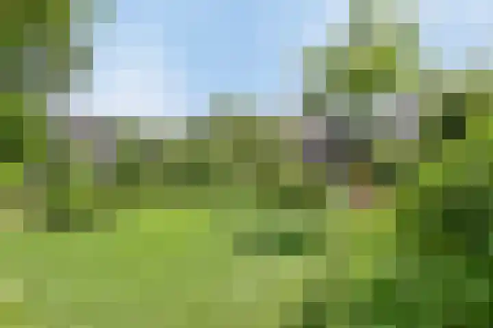Vogelenzang 3 d Haaren thumbnail 51