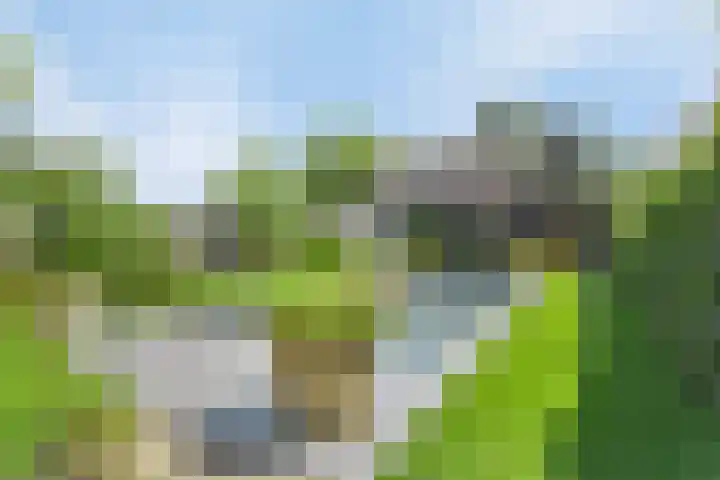 Vogelenzang 3 d Haaren thumbnail 52
