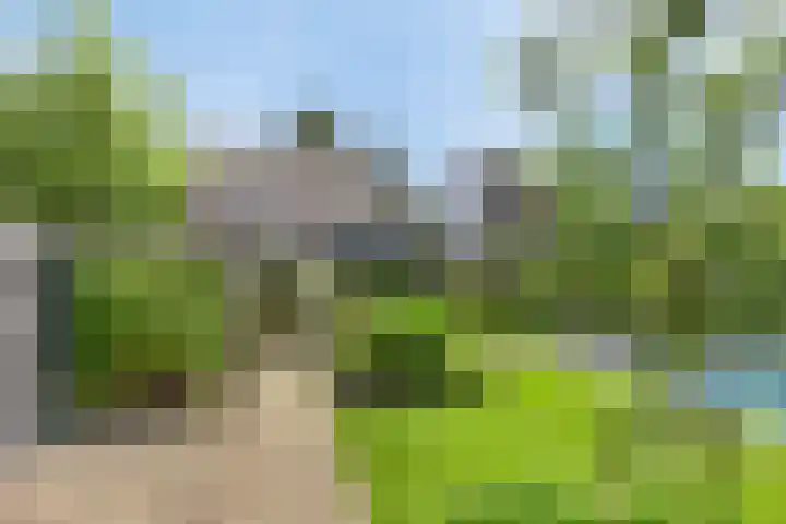 Vogelenzang 3 d Haaren thumbnail 53