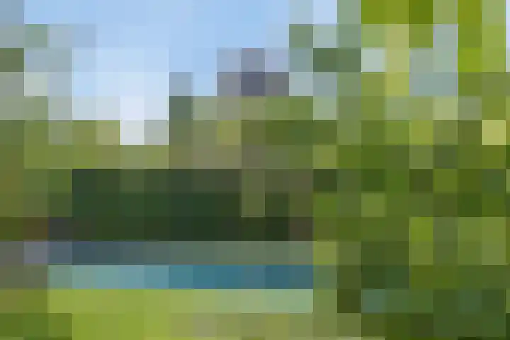 Vogelenzang 3 d Haaren thumbnail 54