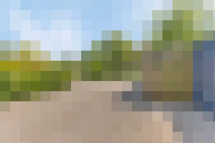 Vogelenzang 3 d Haaren thumbnail 60