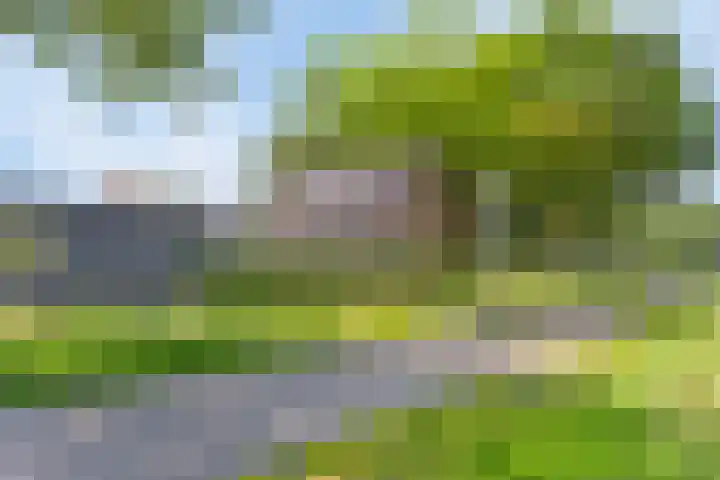 Vogelenzang 3 d Haaren thumbnail 65
